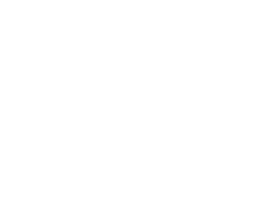 Logo Haus White
